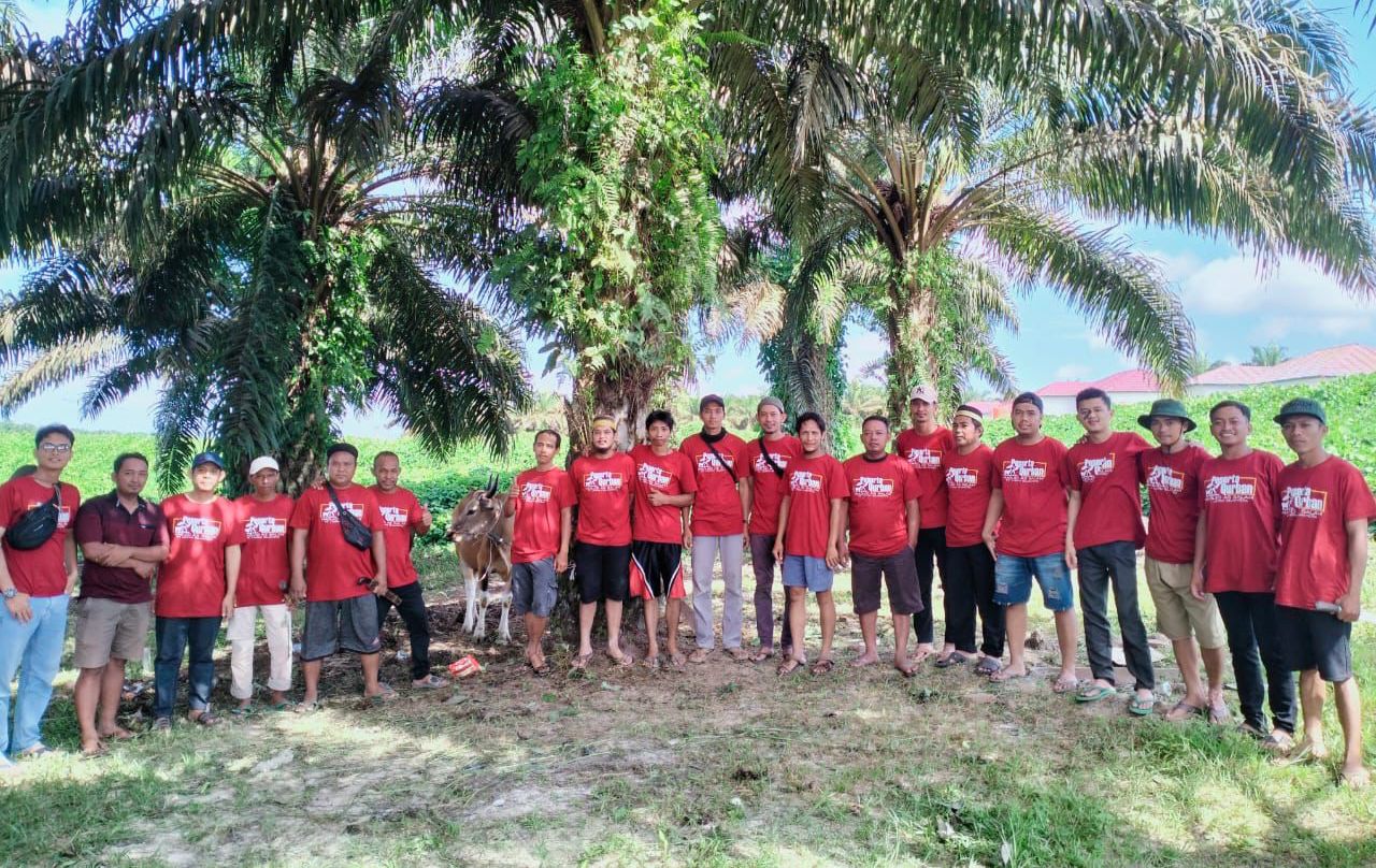 Kaos Panitia Qurban PT. Limpah Sejahtera Kalimantan Barat